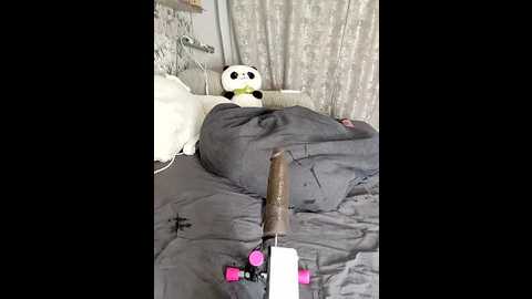 lola_hale @ stripchat on 20250705