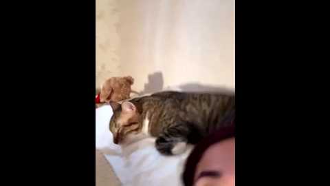 cutefathima @ stripchat on 20250706