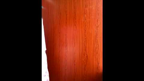 maomao_520 @ stripchat on 20250706