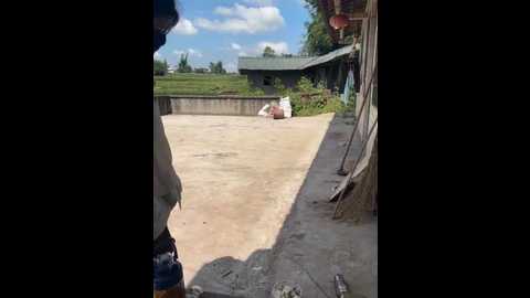 sisi_6 @ stripchat on 20250706