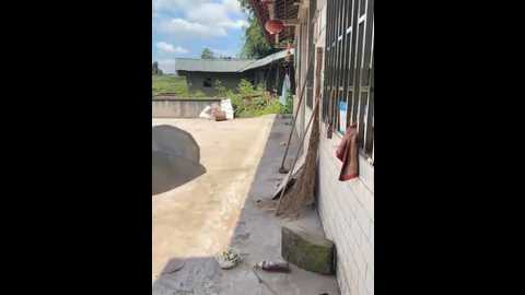 sisi_6 @ stripchat on 20250706