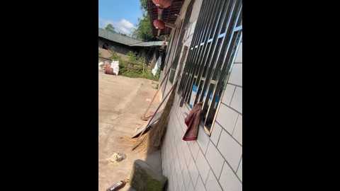 sisi_6 @ stripchat on 20250706