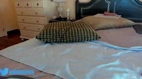 adarabu @ stripchat on 20250707