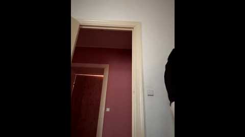 musae @ stripchat on 20250707