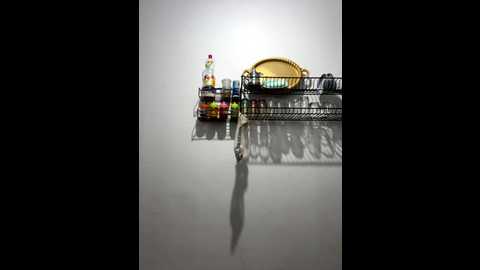 rim2026 @ stripchat on 20250707