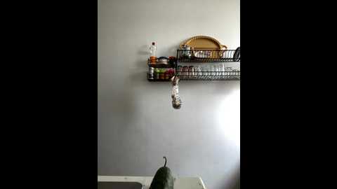 rim2026 @ stripchat on 20250707