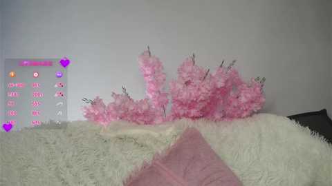 amilewis @ stripchat on 20250708