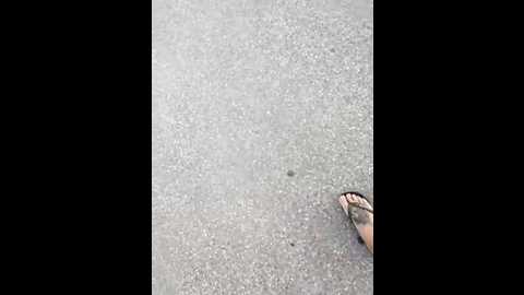 darkdea @ stripchat on 20250708