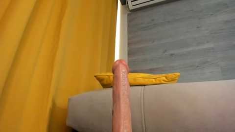 irenehabibi @ stripchat on 20250708