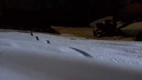 playfulminxx @ stripchat on 20250708