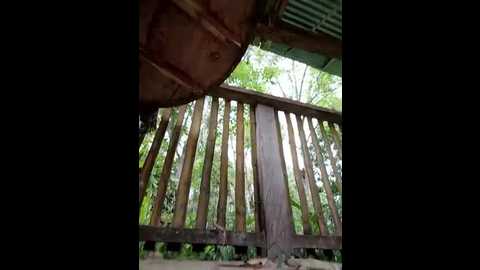 simone_miller @ stripchat on 20250708