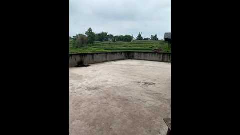 sisi_6 @ stripchat on 20250708