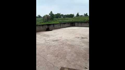 sisi_6 @ stripchat on 20250708