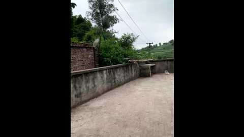 sisi_6 @ stripchat on 20250708