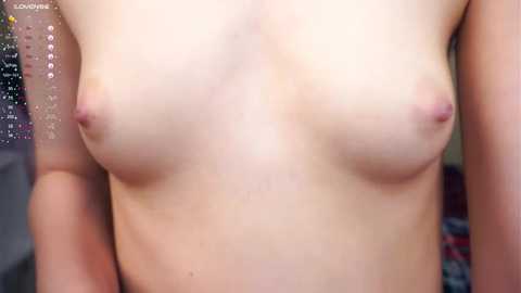 engelalman @ stripchat on 20250709