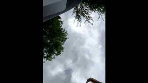 liza_risky @ stripchat on 20250709