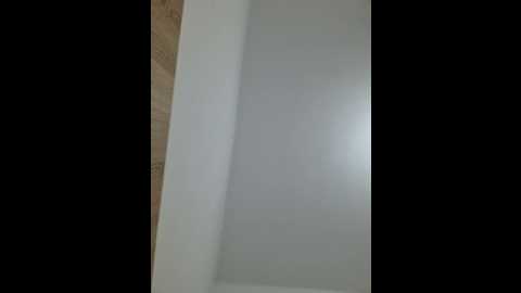 roousea_lina @ stripchat on 20250710