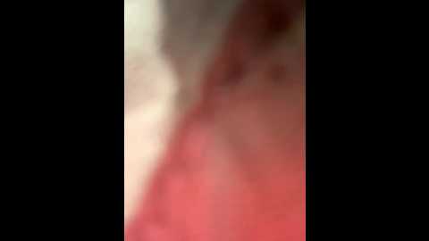 angelinateller @ stripchat on 20250711