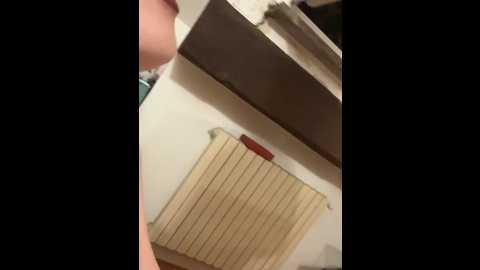 borussiadortmundfan