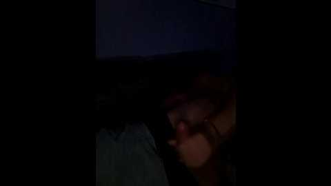 harmonicmoment24 @ stripchat on 20250712