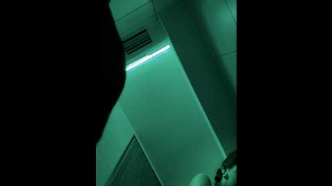 musae @ stripchat on 20250712