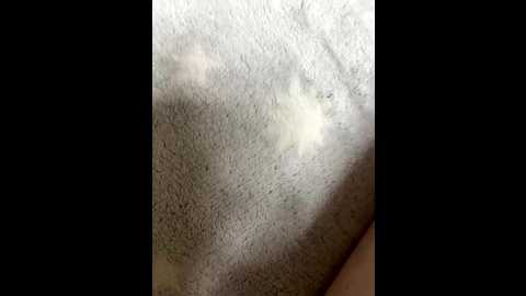 ketadeksa @ stripchat on 20250713