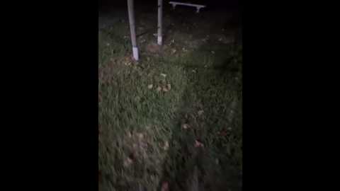 thelevel69s @ stripchat on 20250713