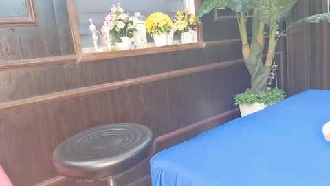 zizi_public @ stripchat on 20250713