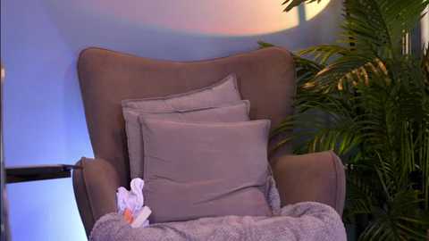 _keeti_ @ stripchat on 20250714