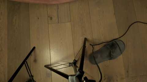 rachel_rey @ stripchat on 20250714