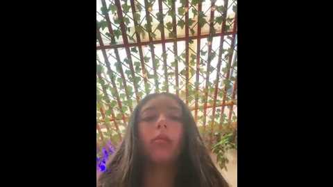 dulce_1408