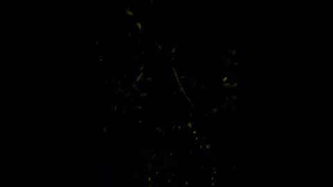 thelevel69s @ stripchat on 20250715