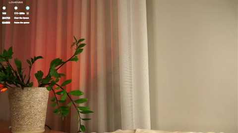 wandacounsell @ stripchat on 20250715