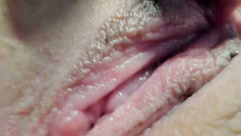 courtney_luv @ stripchat on 20250717