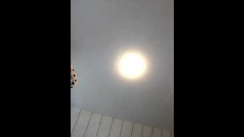 dieblacky31 @ stripchat on 20250717