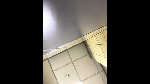 mariid @ stripchat on 20250717