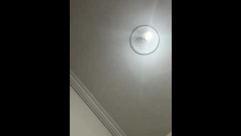 ahlam7578 @ stripchat on 20250719