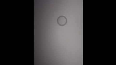 aryrosee @ stripchat on 20250719