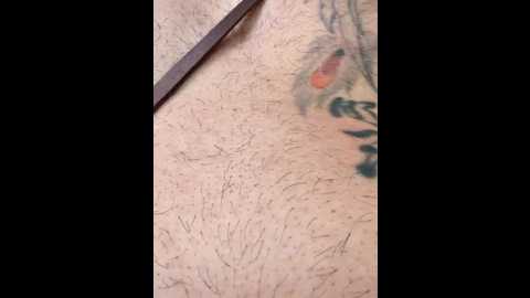 darkdea @ stripchat on 20250719