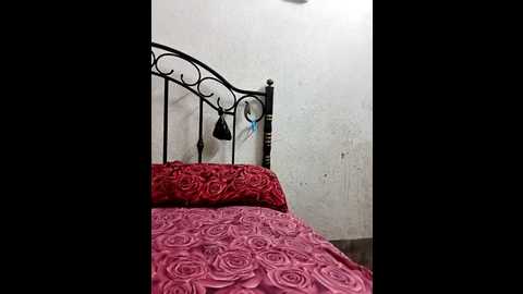 hotty_moni @ stripchat on 20250719