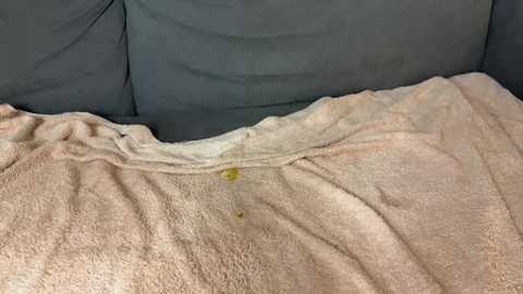 diamondsred @ stripchat on 20250720