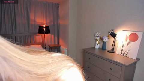 odellafrake @ stripchat on 20250720