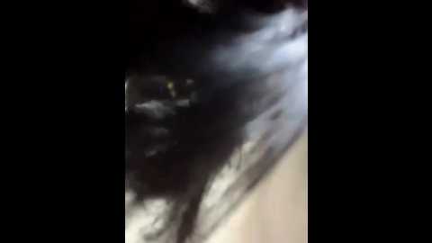 alishaofthorns @ stripchat on 20250721