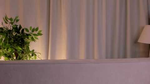 jodybruster @ stripchat on 20250722