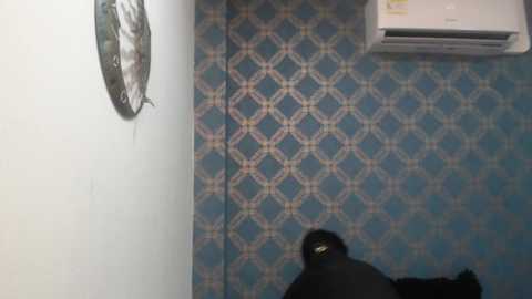 violeta_cute18 @ stripchat on 20250723
