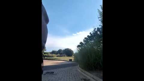 darkdea @ stripchat on 20250724