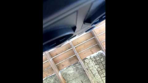 alimela @ stripchat on 20250725