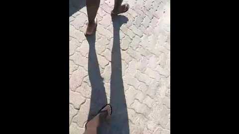 darkdea @ stripchat on 20250725