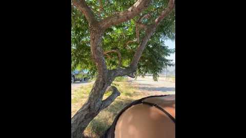 kikiwatson @ stripchat on 20250725