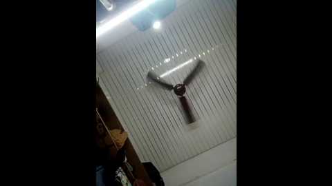 your_samayra @ stripchat on 20250725